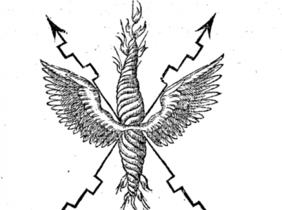 Rycina z dzieła "Devises heroïques" z 1557 roku. Przedstawia wyłaniającą się z chmur rękę, która zrzuca na ziemię iskrzący pocisk i dwa skrzyżowane pioruny, ujęte parą białych skrzydeł. Napis u góry: Sic terras turbine perflat.