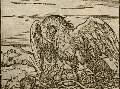 Rycina z dzieła Juniusa Hadrianusa pod tytułem Emblemata. Przedstawia ptaka i trzy pisklęta w gnieździe.
