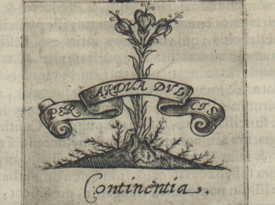 Rycina z dzieła Tomasza Tretera "Symbolica vitae Christi meditatio". Przedstawia gałązkę lilii oraz szarfę z napisem "Per ardua dulcis". U dołu napis Continentia.