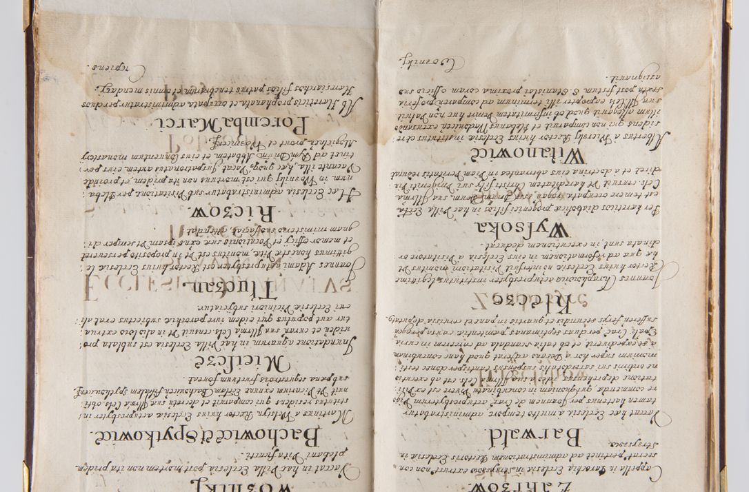 Zdjęcie nr 19 dla obiektu archiwalnego: Liber continens decreta executiva visitationum et alia ad correctionem et reformationem vitae et morum cleri pertinentia tempore fel. rec. R.D. Bernardi Maciejowski Cardinalis et episcopi Cracoviensis ac ducis Severiensis conscripta ex annis 1601 et sequent