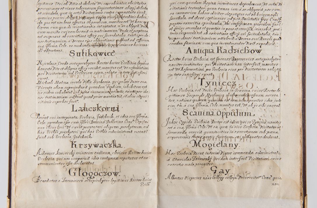 Zdjęcie nr 21 dla obiektu archiwalnego: Liber continens decreta executiva visitationum et alia ad correctionem et reformationem vitae et morum cleri pertinentia tempore fel. rec. R.D. Bernardi Maciejowski Cardinalis et episcopi Cracoviensis ac ducis Severiensis conscripta ex annis 1601 et sequent