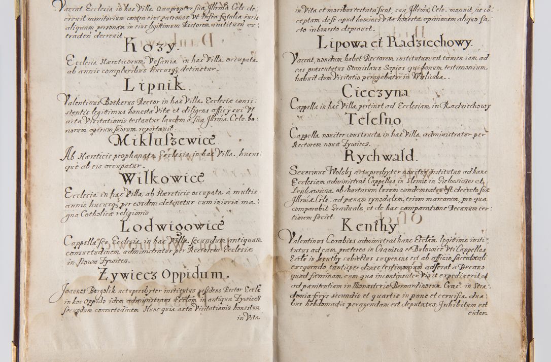 Zdjęcie nr 24 dla obiektu archiwalnego: Liber continens decreta executiva visitationum et alia ad correctionem et reformationem vitae et morum cleri pertinentia tempore fel. rec. R.D. Bernardi Maciejowski Cardinalis et episcopi Cracoviensis ac ducis Severiensis conscripta ex annis 1601 et sequent