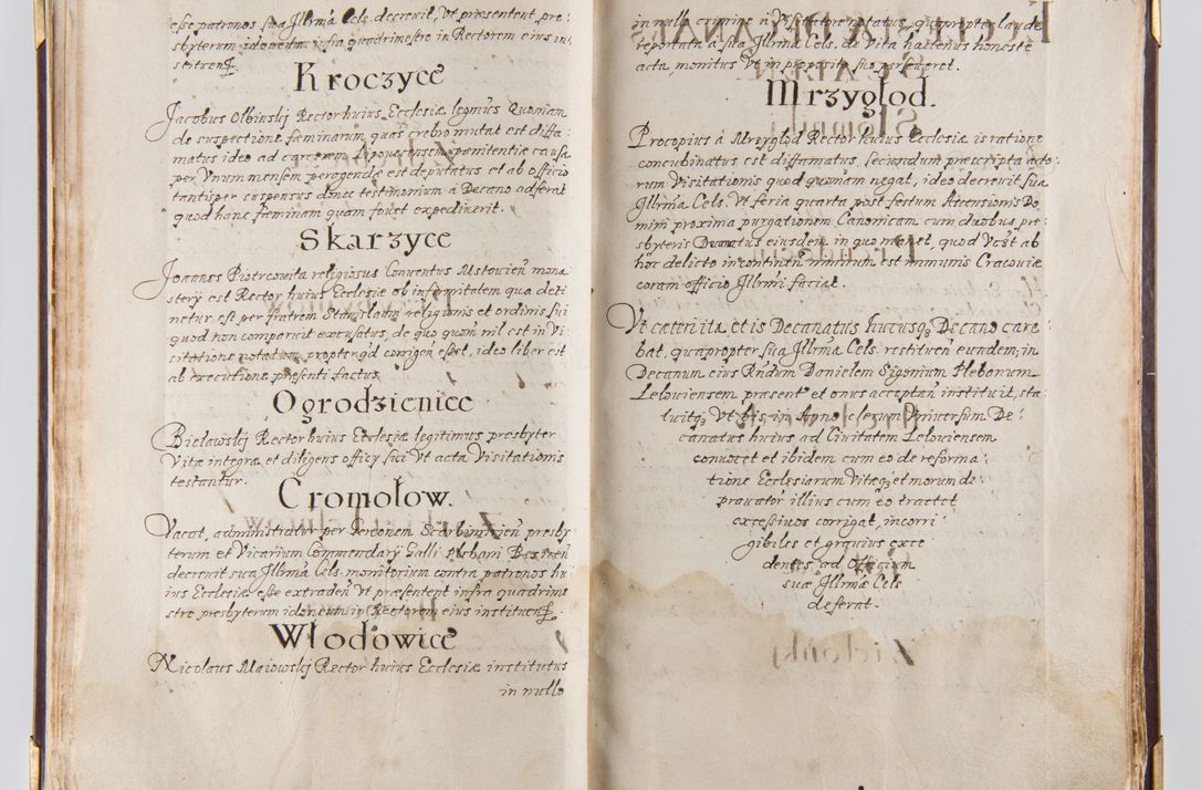Zdjęcie nr 31 dla obiektu archiwalnego: Liber continens decreta executiva visitationum et alia ad correctionem et reformationem vitae et morum cleri pertinentia tempore fel. rec. R.D. Bernardi Maciejowski Cardinalis et episcopi Cracoviensis ac ducis Severiensis conscripta ex annis 1601 et sequent