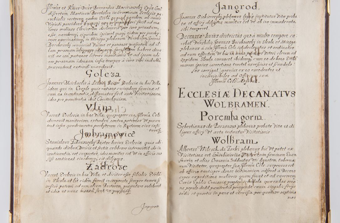 Zdjęcie nr 35 dla obiektu archiwalnego: Liber continens decreta executiva visitationum et alia ad correctionem et reformationem vitae et morum cleri pertinentia tempore fel. rec. R.D. Bernardi Maciejowski Cardinalis et episcopi Cracoviensis ac ducis Severiensis conscripta ex annis 1601 et sequent