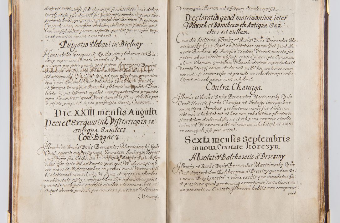 Zdjęcie nr 41 dla obiektu archiwalnego: Liber continens decreta executiva visitationum et alia ad correctionem et reformationem vitae et morum cleri pertinentia tempore fel. rec. R.D. Bernardi Maciejowski Cardinalis et episcopi Cracoviensis ac ducis Severiensis conscripta ex annis 1601 et sequent