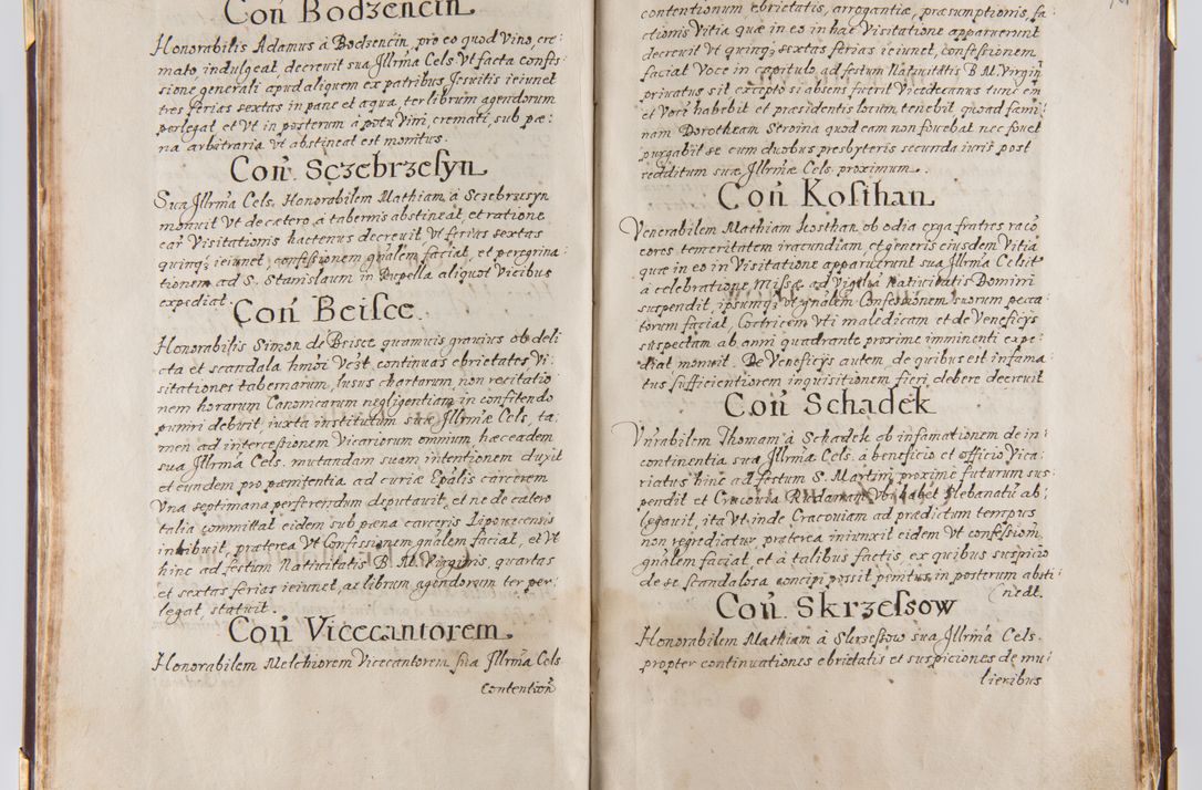 Zdjęcie nr 46 dla obiektu archiwalnego: Liber continens decreta executiva visitationum et alia ad correctionem et reformationem vitae et morum cleri pertinentia tempore fel. rec. R.D. Bernardi Maciejowski Cardinalis et episcopi Cracoviensis ac ducis Severiensis conscripta ex annis 1601 et sequent