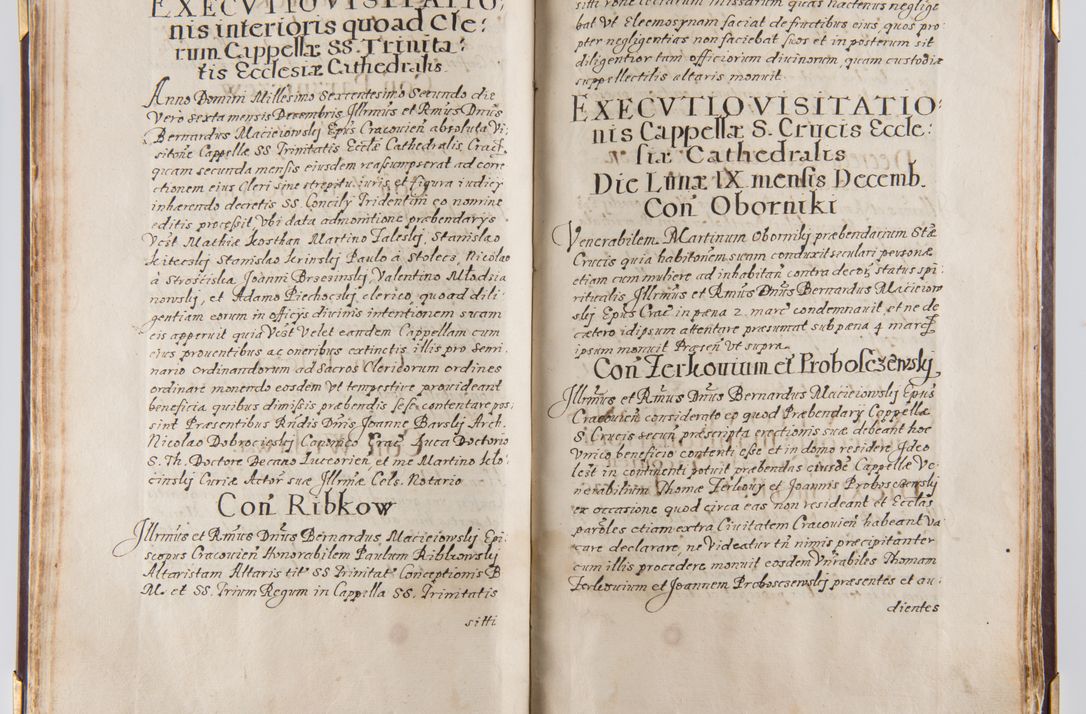 Zdjęcie nr 48 dla obiektu archiwalnego: Liber continens decreta executiva visitationum et alia ad correctionem et reformationem vitae et morum cleri pertinentia tempore fel. rec. R.D. Bernardi Maciejowski Cardinalis et episcopi Cracoviensis ac ducis Severiensis conscripta ex annis 1601 et sequent