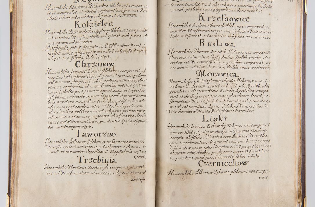 Zdjęcie nr 68 dla obiektu archiwalnego: Liber continens decreta executiva visitationum et alia ad correctionem et reformationem vitae et morum cleri pertinentia tempore fel. rec. R.D. Bernardi Maciejowski Cardinalis et episcopi Cracoviensis ac ducis Severiensis conscripta ex annis 1601 et sequent