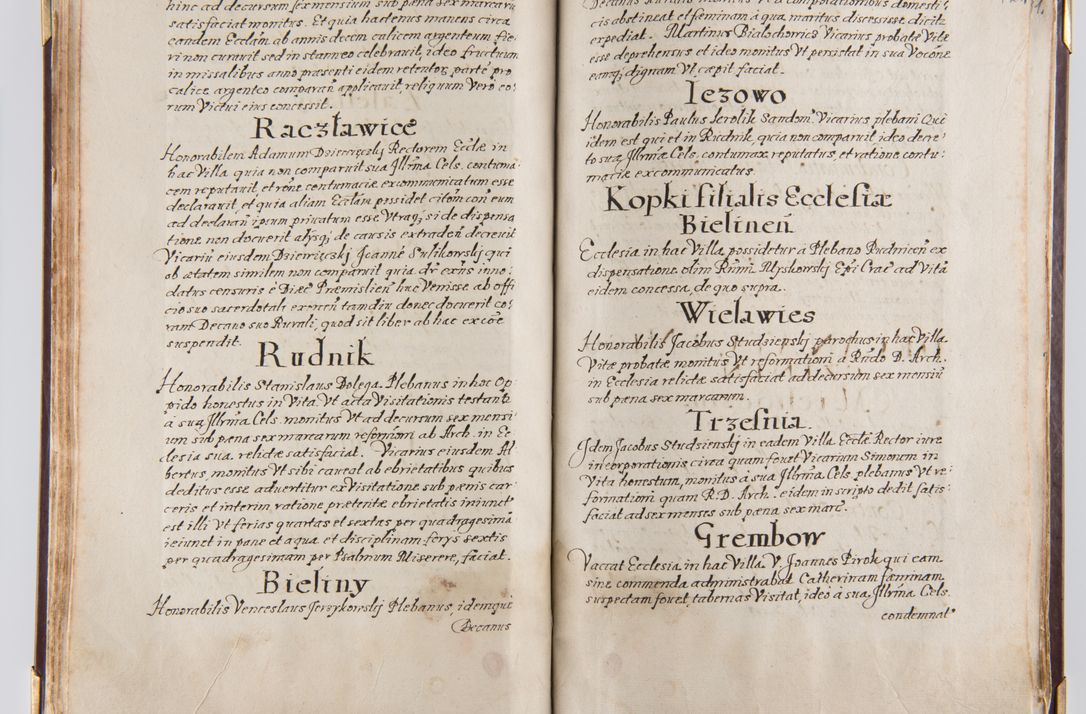 Zdjęcie nr 73 dla obiektu archiwalnego: Liber continens decreta executiva visitationum et alia ad correctionem et reformationem vitae et morum cleri pertinentia tempore fel. rec. R.D. Bernardi Maciejowski Cardinalis et episcopi Cracoviensis ac ducis Severiensis conscripta ex annis 1601 et sequent