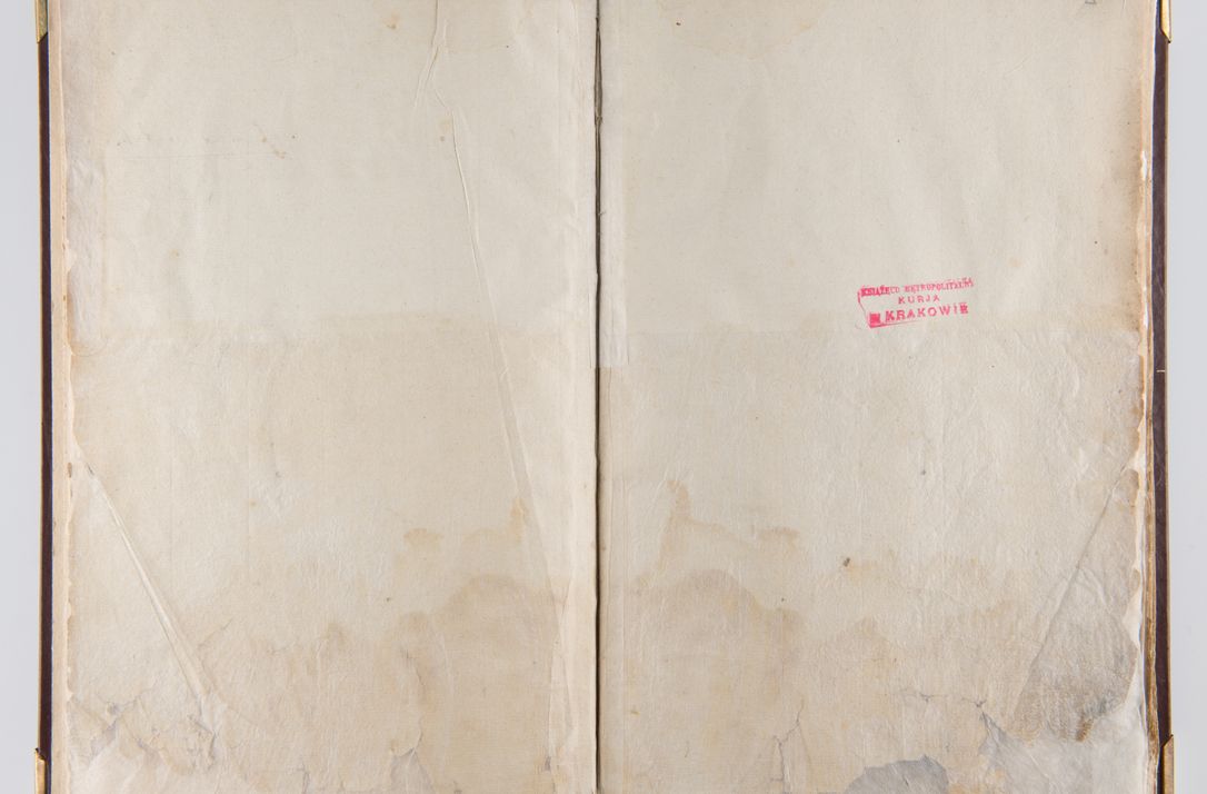 Zdjęcie nr 6 dla obiektu archiwalnego: Liber continens decreta executiva visitationum et alia ad correctionem et reformationem vitae et morum cleri pertinentia tempore fel. rec. R.D. Bernardi Maciejowski Cardinalis et episcopi Cracoviensis ac ducis Severiensis conscripta ex annis 1601 et sequent