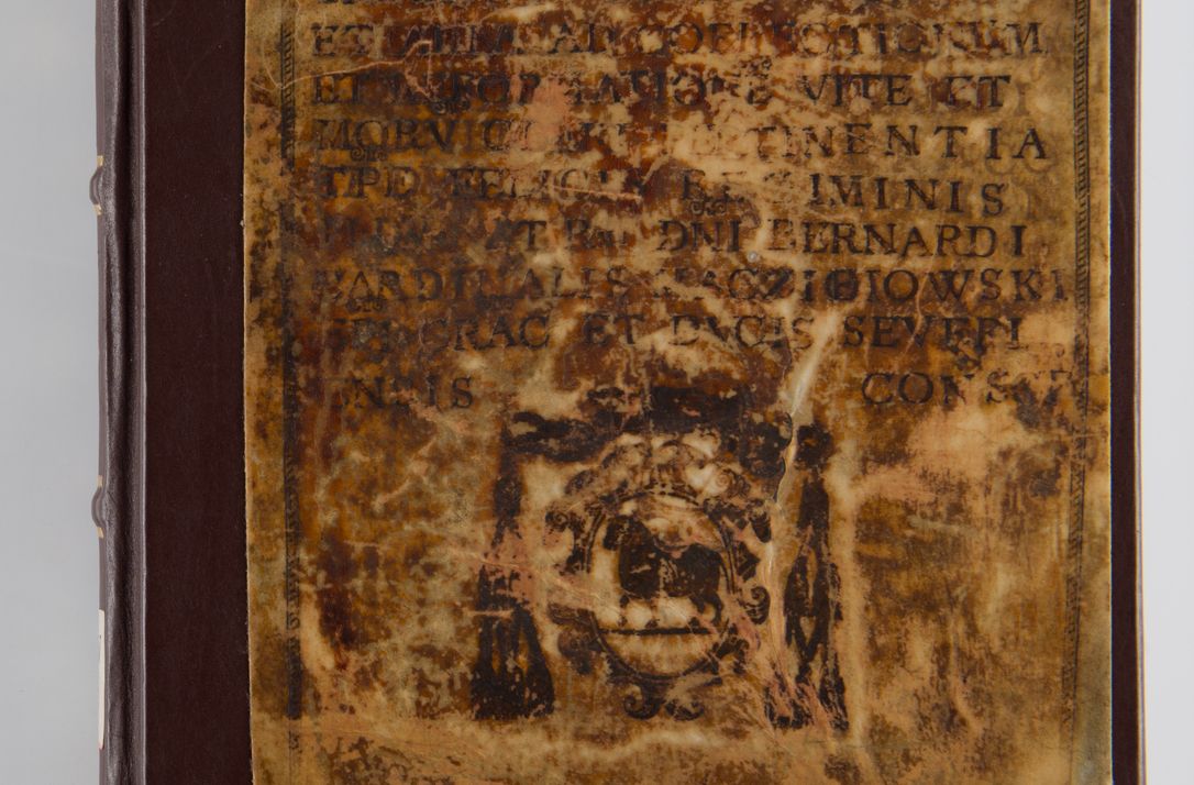 Zdjęcie nr 1 dla obiektu archiwalnego: Liber continens decreta executiva visitationum et alia ad correctionem et reformationem vitae et morum cleri pertinentia tempore fel. rec. R.D. Bernardi Maciejowski Cardinalis et episcopi Cracoviensis ac ducis Severiensis conscripta ex annis 1601 et sequent