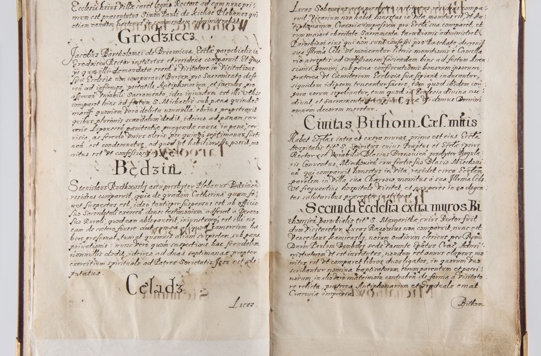 Zdjęcie nr 10 dla obiektu archiwalnego: Liber continens decreta executiva visitationum et alia ad correctionem et reformationem vitae et morum cleri pertinentia tempore fel. rec. R.D. Bernardi Maciejowski Cardinalis et episcopi Cracoviensis ac ducis Severiensis conscripta ex annis 1601 et sequent