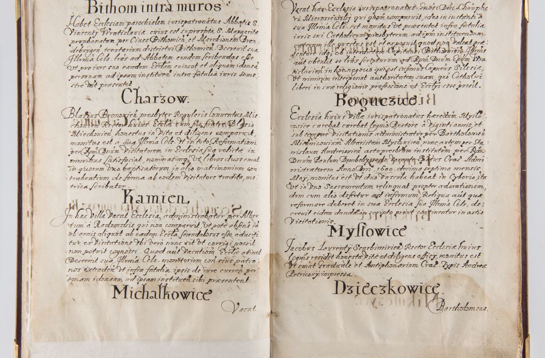 Zdjęcie nr 11 dla obiektu archiwalnego: Liber continens decreta executiva visitationum et alia ad correctionem et reformationem vitae et morum cleri pertinentia tempore fel. rec. R.D. Bernardi Maciejowski Cardinalis et episcopi Cracoviensis ac ducis Severiensis conscripta ex annis 1601 et sequent