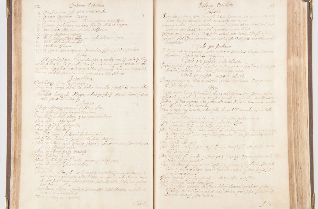 Zdjęcie nr 58 dla obiektu archiwalnego: Visitatio decanatus Boboviensis externa per Joannem Januszowski, archidiaconum Sandecensem, plebanum Solecensem ex mandato speciali R.D. Petri Tylicki episcopi Cracoviensis, praesentibus Martino Chochorovio, preasbytero et Martino Servatio, Andreoviensi clerico facta