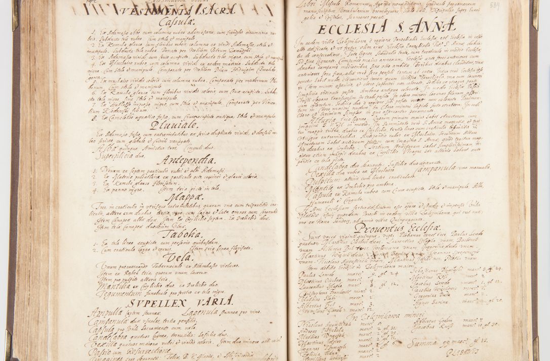 Zdjęcie nr 286 dla obiektu archiwalnego: Visitatio decanatus Boboviensis externa per Joannem Januszowski, archidiaconum Sandecensem, plebanum Solecensem ex mandato speciali R.D. Petri Tylicki episcopi Cracoviensis, praesentibus Martino Chochorovio, preasbytero et Martino Servatio, Andreoviensi clerico facta