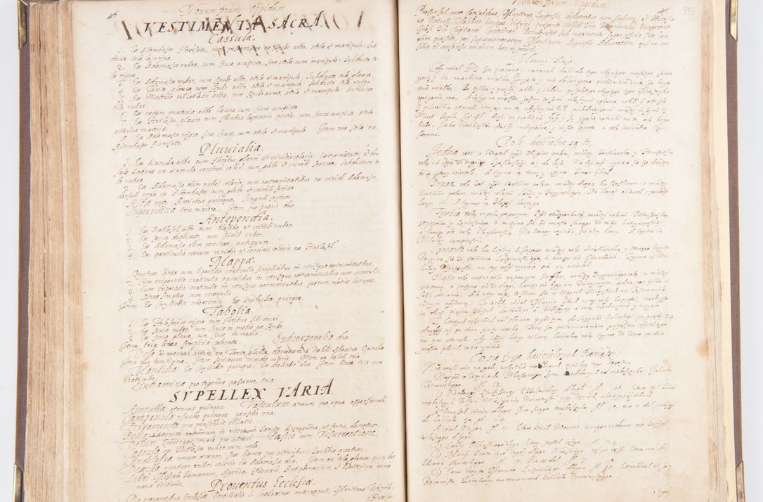 Zdjęcie nr 313 dla obiektu archiwalnego: Visitatio decanatus Boboviensis externa per Joannem Januszowski, archidiaconum Sandecensem, plebanum Solecensem ex mandato speciali R.D. Petri Tylicki episcopi Cracoviensis, praesentibus Martino Chochorovio, preasbytero et Martino Servatio, Andreoviensi clerico facta