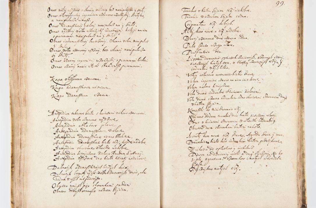 Zdjęcie nr 105 dla obiektu archiwalnego: Visitatio Sandomieriensis Archidiaconatus a.D. 1646 ex commissione R.D. Petri Gembicki, episcopi Cracoviensis, ducis Severiae per Gregorium Kownacki IUD, custodem Tarnoviensem, Venceslaum Kostecki, praepositum Opocnensem, plabanum Malicensem expedita