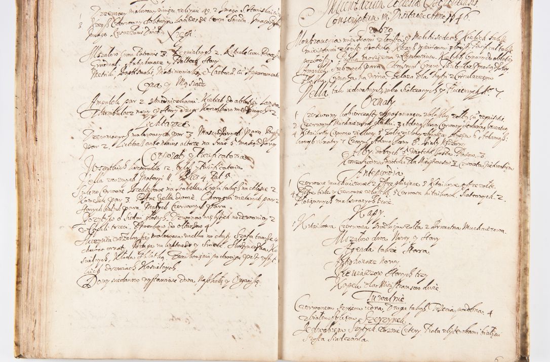 Zdjęcie nr 129 dla obiektu archiwalnego: Visitatio Sandomieriensis Archidiaconatus a.D. 1646 ex commissione R.D. Petri Gembicki, episcopi Cracoviensis, ducis Severiae per Gregorium Kownacki IUD, custodem Tarnoviensem, Venceslaum Kostecki, praepositum Opocnensem, plabanum Malicensem expedita