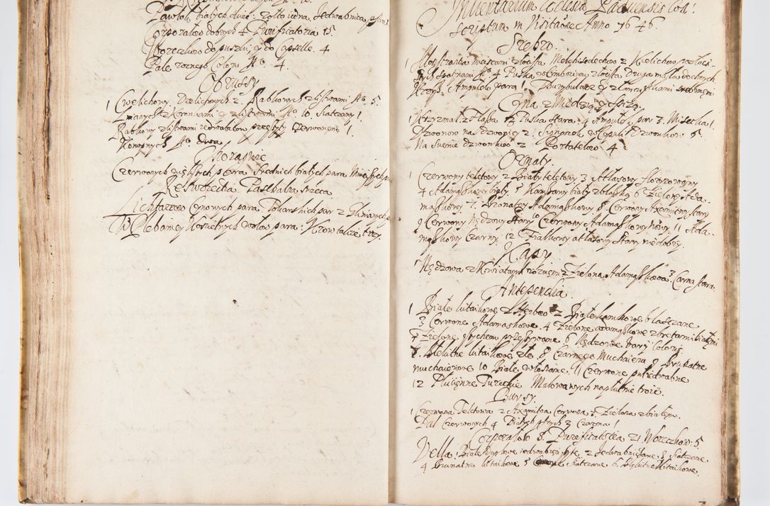 Zdjęcie nr 130 dla obiektu archiwalnego: Visitatio Sandomieriensis Archidiaconatus a.D. 1646 ex commissione R.D. Petri Gembicki, episcopi Cracoviensis, ducis Severiae per Gregorium Kownacki IUD, custodem Tarnoviensem, Venceslaum Kostecki, praepositum Opocnensem, plabanum Malicensem expedita