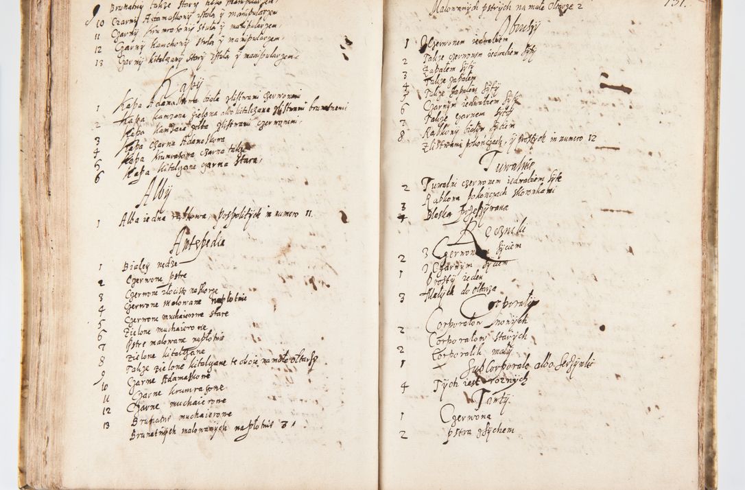 Zdjęcie nr 138 dla obiektu archiwalnego: Visitatio Sandomieriensis Archidiaconatus a.D. 1646 ex commissione R.D. Petri Gembicki, episcopi Cracoviensis, ducis Severiae per Gregorium Kownacki IUD, custodem Tarnoviensem, Venceslaum Kostecki, praepositum Opocnensem, plabanum Malicensem expedita