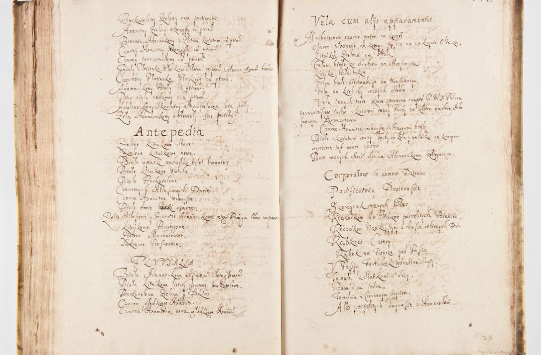Zdjęcie nr 151 dla obiektu archiwalnego: Visitatio Sandomieriensis Archidiaconatus a.D. 1646 ex commissione R.D. Petri Gembicki, episcopi Cracoviensis, ducis Severiae per Gregorium Kownacki IUD, custodem Tarnoviensem, Venceslaum Kostecki, praepositum Opocnensem, plabanum Malicensem expedita