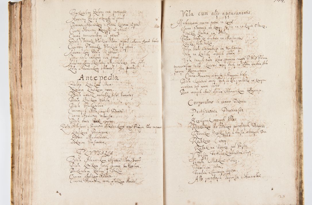 Zdjęcie nr 152 dla obiektu archiwalnego: Visitatio Sandomieriensis Archidiaconatus a.D. 1646 ex commissione R.D. Petri Gembicki, episcopi Cracoviensis, ducis Severiae per Gregorium Kownacki IUD, custodem Tarnoviensem, Venceslaum Kostecki, praepositum Opocnensem, plabanum Malicensem expedita