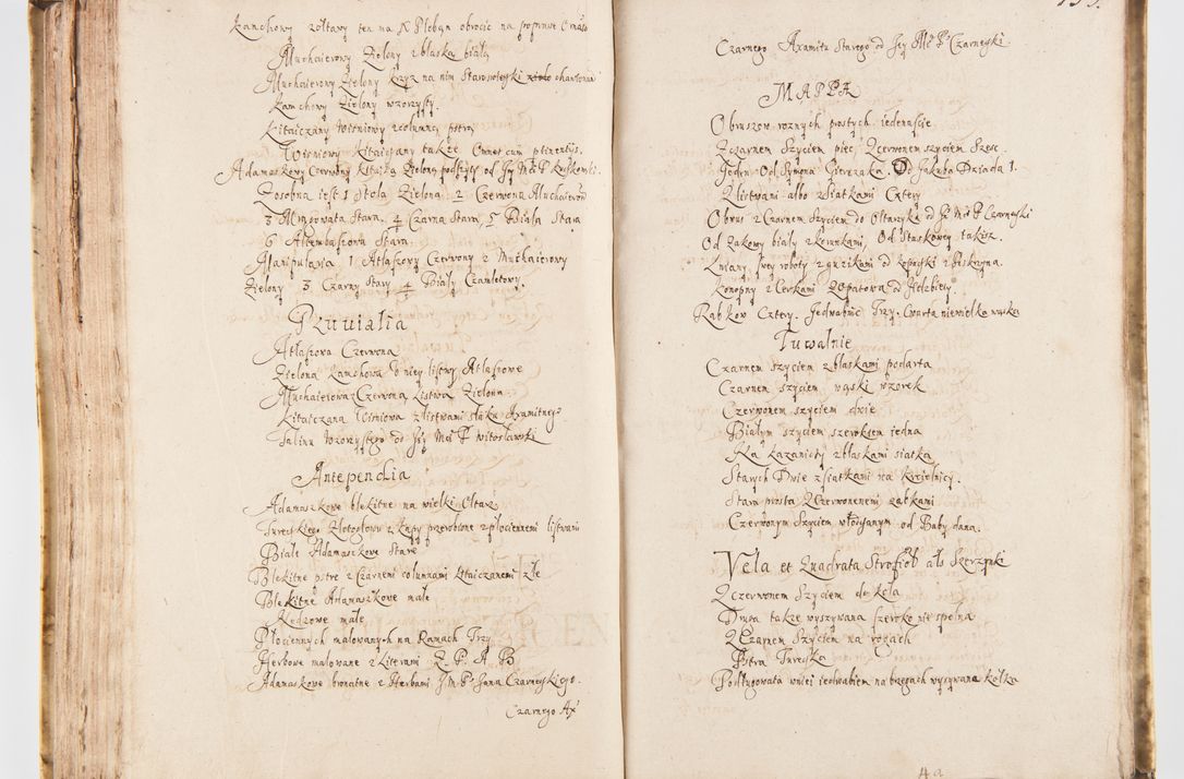 Zdjęcie nr 161 dla obiektu archiwalnego: Visitatio Sandomieriensis Archidiaconatus a.D. 1646 ex commissione R.D. Petri Gembicki, episcopi Cracoviensis, ducis Severiae per Gregorium Kownacki IUD, custodem Tarnoviensem, Venceslaum Kostecki, praepositum Opocnensem, plabanum Malicensem expedita