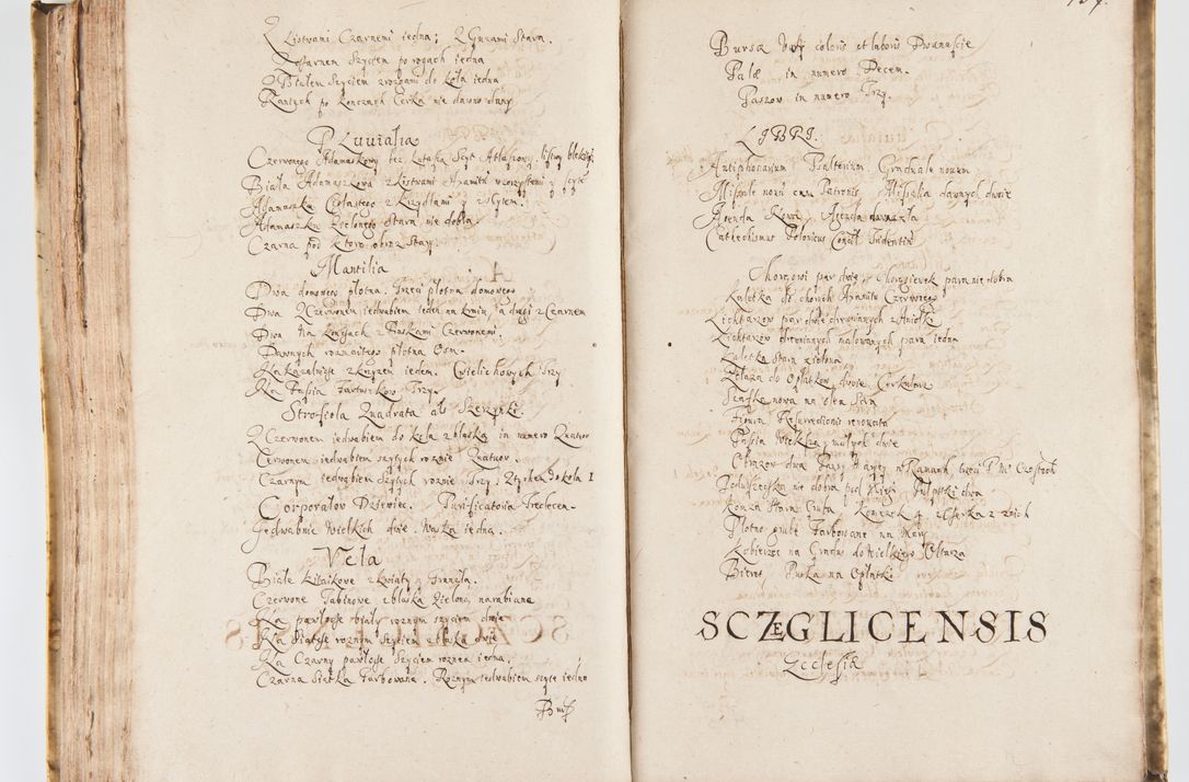 Zdjęcie nr 165 dla obiektu archiwalnego: Visitatio Sandomieriensis Archidiaconatus a.D. 1646 ex commissione R.D. Petri Gembicki, episcopi Cracoviensis, ducis Severiae per Gregorium Kownacki IUD, custodem Tarnoviensem, Venceslaum Kostecki, praepositum Opocnensem, plabanum Malicensem expedita