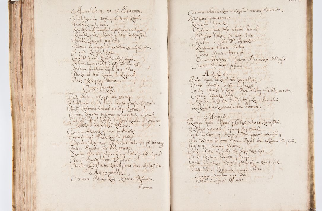 Zdjęcie nr 164 dla obiektu archiwalnego: Visitatio Sandomieriensis Archidiaconatus a.D. 1646 ex commissione R.D. Petri Gembicki, episcopi Cracoviensis, ducis Severiae per Gregorium Kownacki IUD, custodem Tarnoviensem, Venceslaum Kostecki, praepositum Opocnensem, plabanum Malicensem expedita