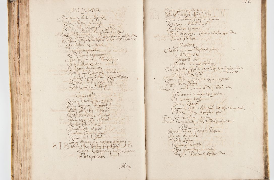 Zdjęcie nr 166 dla obiektu archiwalnego: Visitatio Sandomieriensis Archidiaconatus a.D. 1646 ex commissione R.D. Petri Gembicki, episcopi Cracoviensis, ducis Severiae per Gregorium Kownacki IUD, custodem Tarnoviensem, Venceslaum Kostecki, praepositum Opocnensem, plabanum Malicensem expedita