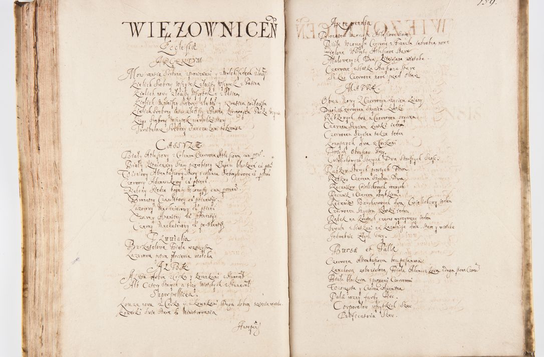 Zdjęcie nr 167 dla obiektu archiwalnego: Visitatio Sandomieriensis Archidiaconatus a.D. 1646 ex commissione R.D. Petri Gembicki, episcopi Cracoviensis, ducis Severiae per Gregorium Kownacki IUD, custodem Tarnoviensem, Venceslaum Kostecki, praepositum Opocnensem, plabanum Malicensem expedita