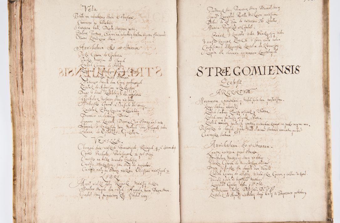 Zdjęcie nr 168 dla obiektu archiwalnego: Visitatio Sandomieriensis Archidiaconatus a.D. 1646 ex commissione R.D. Petri Gembicki, episcopi Cracoviensis, ducis Severiae per Gregorium Kownacki IUD, custodem Tarnoviensem, Venceslaum Kostecki, praepositum Opocnensem, plabanum Malicensem expedita