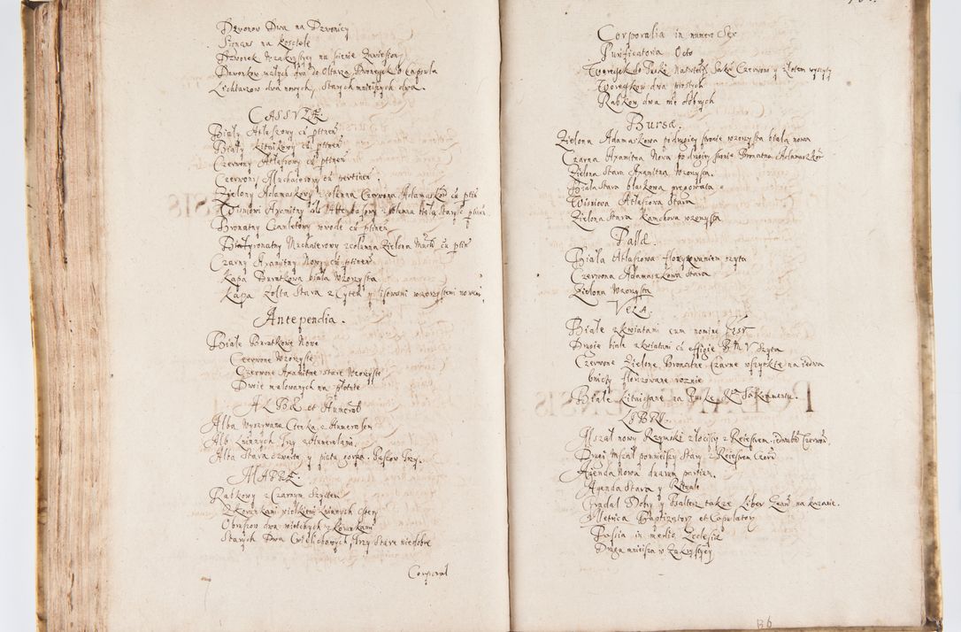 Zdjęcie nr 169 dla obiektu archiwalnego: Visitatio Sandomieriensis Archidiaconatus a.D. 1646 ex commissione R.D. Petri Gembicki, episcopi Cracoviensis, ducis Severiae per Gregorium Kownacki IUD, custodem Tarnoviensem, Venceslaum Kostecki, praepositum Opocnensem, plabanum Malicensem expedita