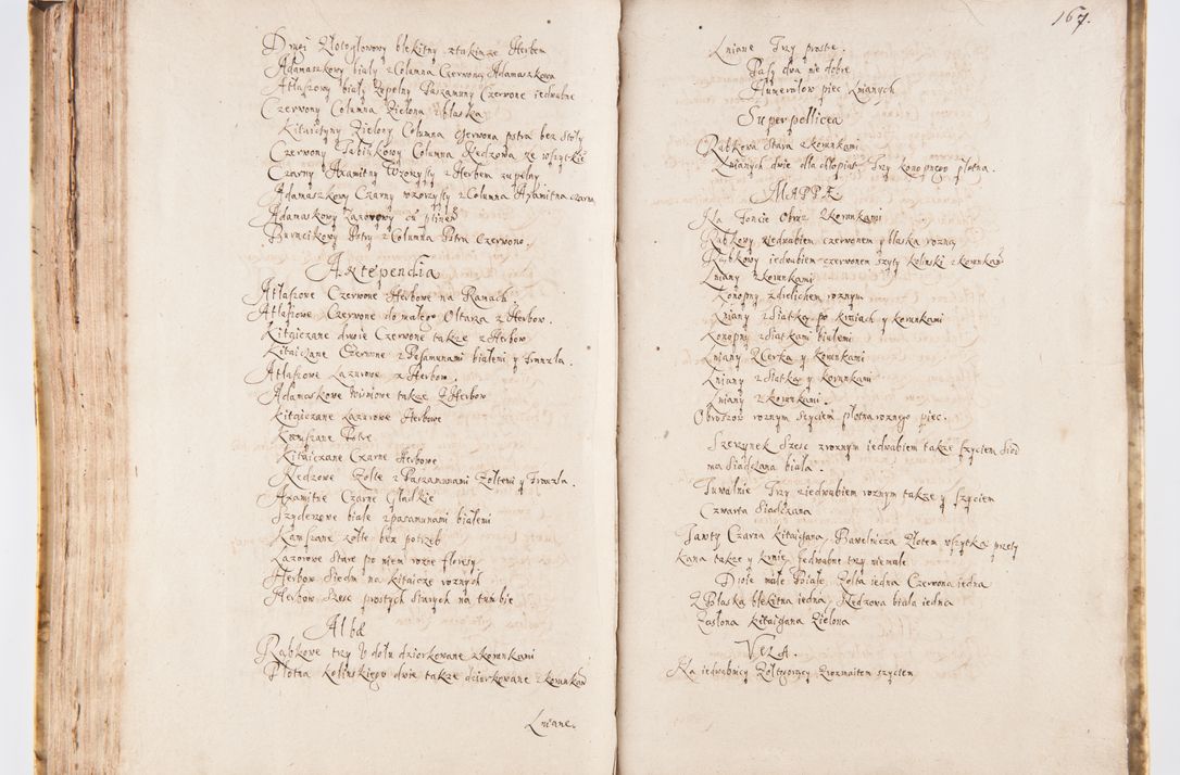 Zdjęcie nr 174 dla obiektu archiwalnego: Visitatio Sandomieriensis Archidiaconatus a.D. 1646 ex commissione R.D. Petri Gembicki, episcopi Cracoviensis, ducis Severiae per Gregorium Kownacki IUD, custodem Tarnoviensem, Venceslaum Kostecki, praepositum Opocnensem, plabanum Malicensem expedita