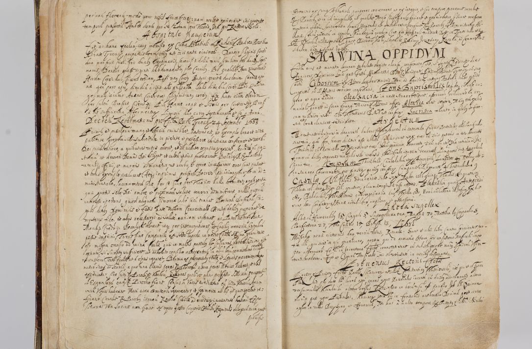 Zdjęcie nr 10 dla obiektu archiwalnego: Visitatio quindecim decanatuum, nempe: Skavinensis, Zathoriensis, Novi Montis, Skalensis, Wrocimoviensis, Adreoviensis, Kijensis, Paczanoviensis, Oswiecimensis, Żywiecensis, Witoviensis, Skoliensis, Opatovecensis, Wielicensis et Plesnensis a Peril. et R.D. Nicolao Oborski, episcopo Laodicensis, suffraganeo, archidiacono, vicario in spiritualibus generali Cracoviensi in annis 1663 - 1665 expedita