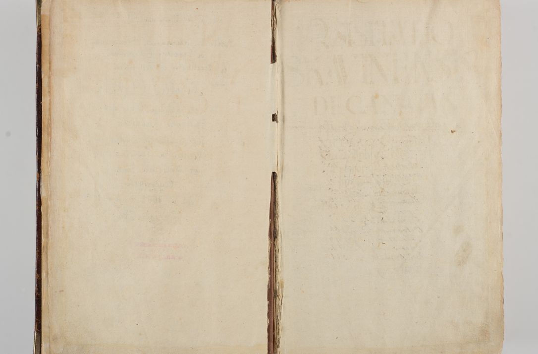 Zdjęcie nr 7 dla obiektu archiwalnego: Visitatio quindecim decanatuum, nempe: Skavinensis, Zathoriensis, Novi Montis, Skalensis, Wrocimoviensis, Adreoviensis, Kijensis, Paczanoviensis, Oswiecimensis, Żywiecensis, Witoviensis, Skoliensis, Opatovecensis, Wielicensis et Plesnensis a Peril. et R.D. Nicolao Oborski, episcopo Laodicensis, suffraganeo, archidiacono, vicario in spiritualibus generali Cracoviensi in annis 1663 - 1665 expedita