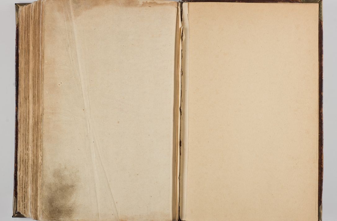 Zdjęcie nr 384 dla obiektu archiwalnego: Visitatio quindecim decanatuum, nempe: Skavinensis, Zathoriensis, Novi Montis, Skalensis, Wrocimoviensis, Adreoviensis, Kijensis, Paczanoviensis, Oswiecimensis, Żywiecensis, Witoviensis, Skoliensis, Opatovecensis, Wielicensis et Plesnensis a Peril. et R.D. Nicolao Oborski, episcopo Laodicensis, suffraganeo, archidiacono, vicario in spiritualibus generali Cracoviensi in annis 1663 - 1665 expedita