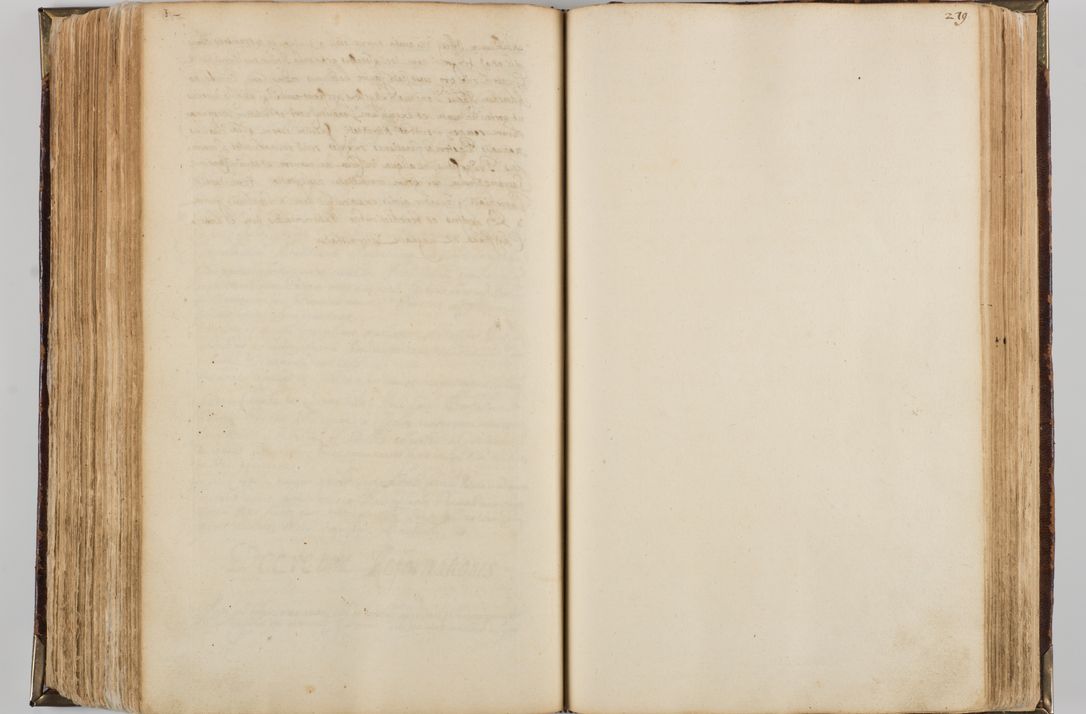 Zdjęcie nr 291 dla obiektu archiwalnego: Visitatio quindecim decanatuum, nempe: Skavinensis, Zathoriensis, Novi Montis, Skalensis, Wrocimoviensis, Adreoviensis, Kijensis, Paczanoviensis, Oswiecimensis, Żywiecensis, Witoviensis, Skoliensis, Opatovecensis, Wielicensis et Plesnensis a Peril. et R.D. Nicolao Oborski, episcopo Laodicensis, suffraganeo, archidiacono, vicario in spiritualibus generali Cracoviensi in annis 1663 - 1665 expedita