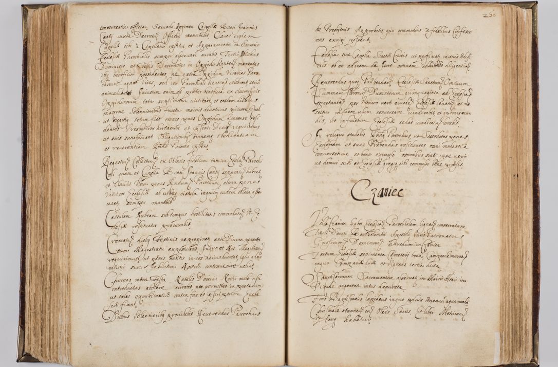 Zdjęcie nr 262 dla obiektu archiwalnego: Visitatio quindecim decanatuum, nempe: Skavinensis, Zathoriensis, Novi Montis, Skalensis, Wrocimoviensis, Adreoviensis, Kijensis, Paczanoviensis, Oswiecimensis, Żywiecensis, Witoviensis, Skoliensis, Opatovecensis, Wielicensis et Plesnensis a Peril. et R.D. Nicolao Oborski, episcopo Laodicensis, suffraganeo, archidiacono, vicario in spiritualibus generali Cracoviensi in annis 1663 - 1665 expedita