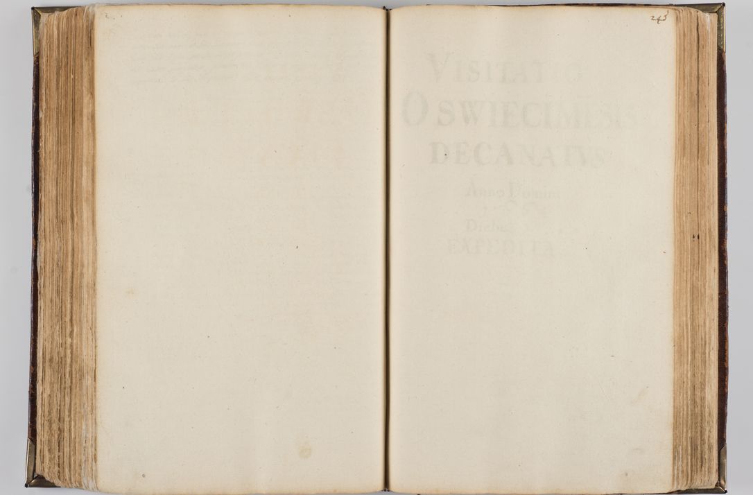 Zdjęcie nr 257 dla obiektu archiwalnego: Visitatio quindecim decanatuum, nempe: Skavinensis, Zathoriensis, Novi Montis, Skalensis, Wrocimoviensis, Adreoviensis, Kijensis, Paczanoviensis, Oswiecimensis, Żywiecensis, Witoviensis, Skoliensis, Opatovecensis, Wielicensis et Plesnensis a Peril. et R.D. Nicolao Oborski, episcopo Laodicensis, suffraganeo, archidiacono, vicario in spiritualibus generali Cracoviensi in annis 1663 - 1665 expedita