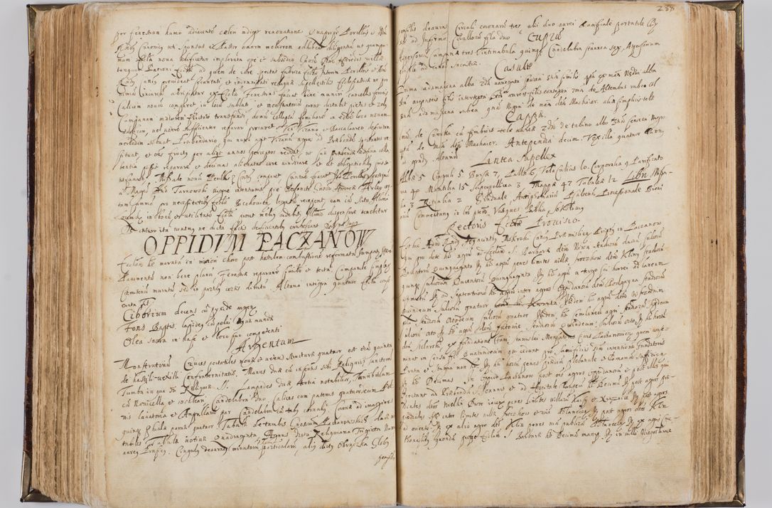 Zdjęcie nr 250 dla obiektu archiwalnego: Visitatio quindecim decanatuum, nempe: Skavinensis, Zathoriensis, Novi Montis, Skalensis, Wrocimoviensis, Adreoviensis, Kijensis, Paczanoviensis, Oswiecimensis, Żywiecensis, Witoviensis, Skoliensis, Opatovecensis, Wielicensis et Plesnensis a Peril. et R.D. Nicolao Oborski, episcopo Laodicensis, suffraganeo, archidiacono, vicario in spiritualibus generali Cracoviensi in annis 1663 - 1665 expedita