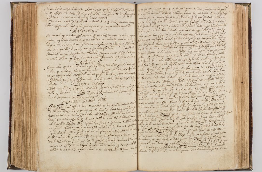 Zdjęcie nr 240 dla obiektu archiwalnego: Visitatio quindecim decanatuum, nempe: Skavinensis, Zathoriensis, Novi Montis, Skalensis, Wrocimoviensis, Adreoviensis, Kijensis, Paczanoviensis, Oswiecimensis, Żywiecensis, Witoviensis, Skoliensis, Opatovecensis, Wielicensis et Plesnensis a Peril. et R.D. Nicolao Oborski, episcopo Laodicensis, suffraganeo, archidiacono, vicario in spiritualibus generali Cracoviensi in annis 1663 - 1665 expedita