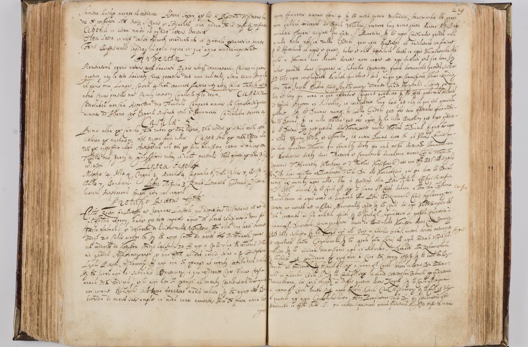 Zdjęcie nr 241 dla obiektu archiwalnego: Visitatio quindecim decanatuum, nempe: Skavinensis, Zathoriensis, Novi Montis, Skalensis, Wrocimoviensis, Adreoviensis, Kijensis, Paczanoviensis, Oswiecimensis, Żywiecensis, Witoviensis, Skoliensis, Opatovecensis, Wielicensis et Plesnensis a Peril. et R.D. Nicolao Oborski, episcopo Laodicensis, suffraganeo, archidiacono, vicario in spiritualibus generali Cracoviensi in annis 1663 - 1665 expedita