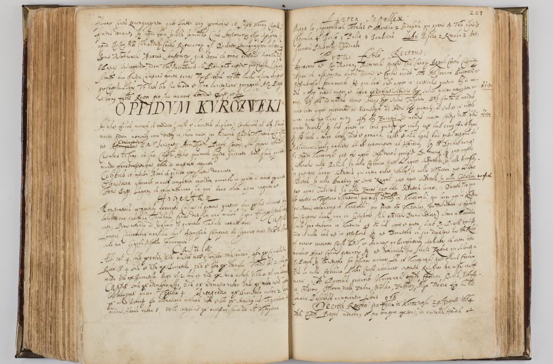 Zdjęcie nr 238 dla obiektu archiwalnego: Visitatio quindecim decanatuum, nempe: Skavinensis, Zathoriensis, Novi Montis, Skalensis, Wrocimoviensis, Adreoviensis, Kijensis, Paczanoviensis, Oswiecimensis, Żywiecensis, Witoviensis, Skoliensis, Opatovecensis, Wielicensis et Plesnensis a Peril. et R.D. Nicolao Oborski, episcopo Laodicensis, suffraganeo, archidiacono, vicario in spiritualibus generali Cracoviensi in annis 1663 - 1665 expedita