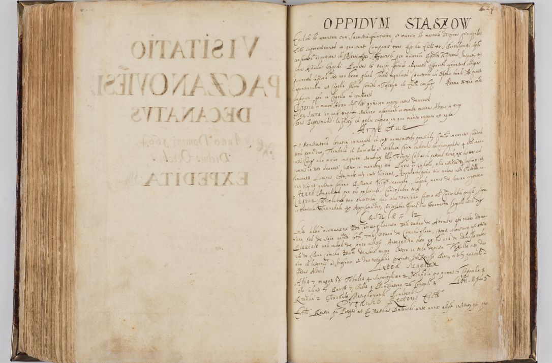 Zdjęcie nr 235 dla obiektu archiwalnego: Visitatio quindecim decanatuum, nempe: Skavinensis, Zathoriensis, Novi Montis, Skalensis, Wrocimoviensis, Adreoviensis, Kijensis, Paczanoviensis, Oswiecimensis, Żywiecensis, Witoviensis, Skoliensis, Opatovecensis, Wielicensis et Plesnensis a Peril. et R.D. Nicolao Oborski, episcopo Laodicensis, suffraganeo, archidiacono, vicario in spiritualibus generali Cracoviensi in annis 1663 - 1665 expedita