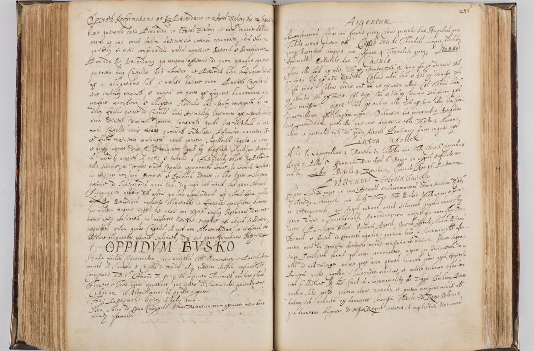 Zdjęcie nr 227 dla obiektu archiwalnego: Visitatio quindecim decanatuum, nempe: Skavinensis, Zathoriensis, Novi Montis, Skalensis, Wrocimoviensis, Adreoviensis, Kijensis, Paczanoviensis, Oswiecimensis, Żywiecensis, Witoviensis, Skoliensis, Opatovecensis, Wielicensis et Plesnensis a Peril. et R.D. Nicolao Oborski, episcopo Laodicensis, suffraganeo, archidiacono, vicario in spiritualibus generali Cracoviensi in annis 1663 - 1665 expedita