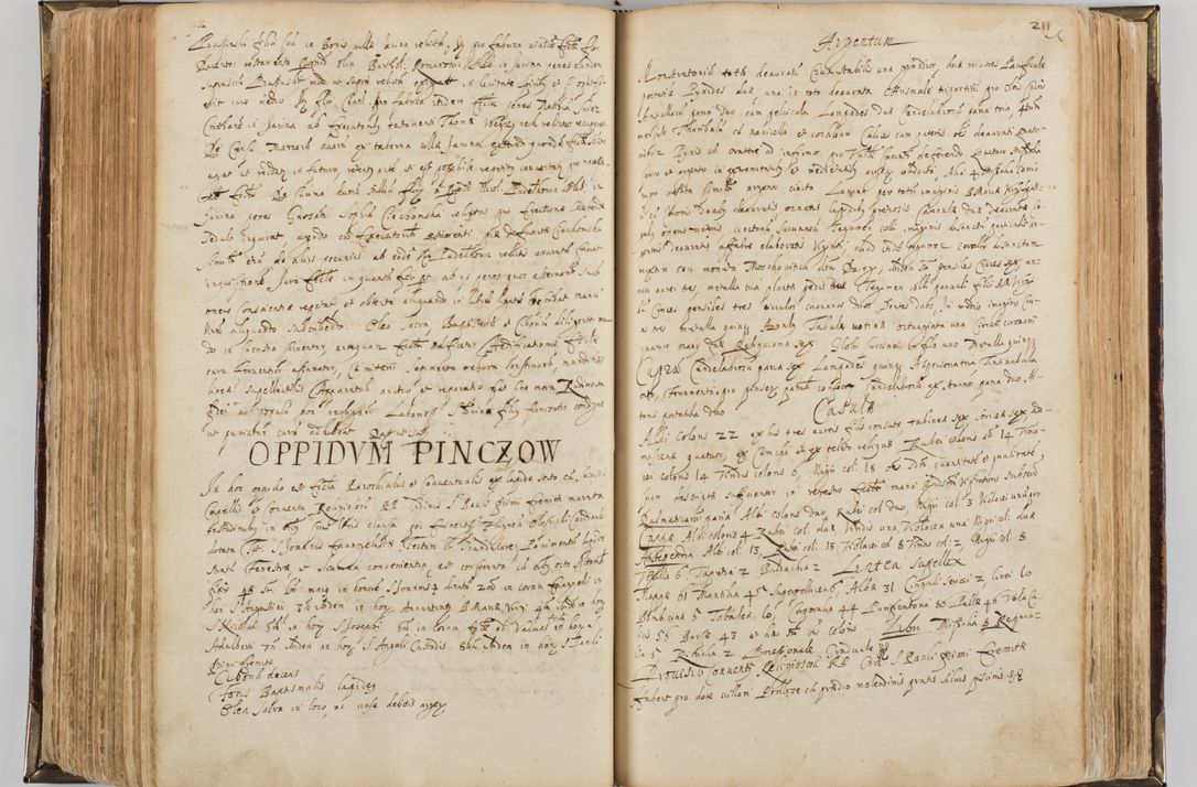 Zdjęcie nr 222 dla obiektu archiwalnego: Visitatio quindecim decanatuum, nempe: Skavinensis, Zathoriensis, Novi Montis, Skalensis, Wrocimoviensis, Adreoviensis, Kijensis, Paczanoviensis, Oswiecimensis, Żywiecensis, Witoviensis, Skoliensis, Opatovecensis, Wielicensis et Plesnensis a Peril. et R.D. Nicolao Oborski, episcopo Laodicensis, suffraganeo, archidiacono, vicario in spiritualibus generali Cracoviensi in annis 1663 - 1665 expedita