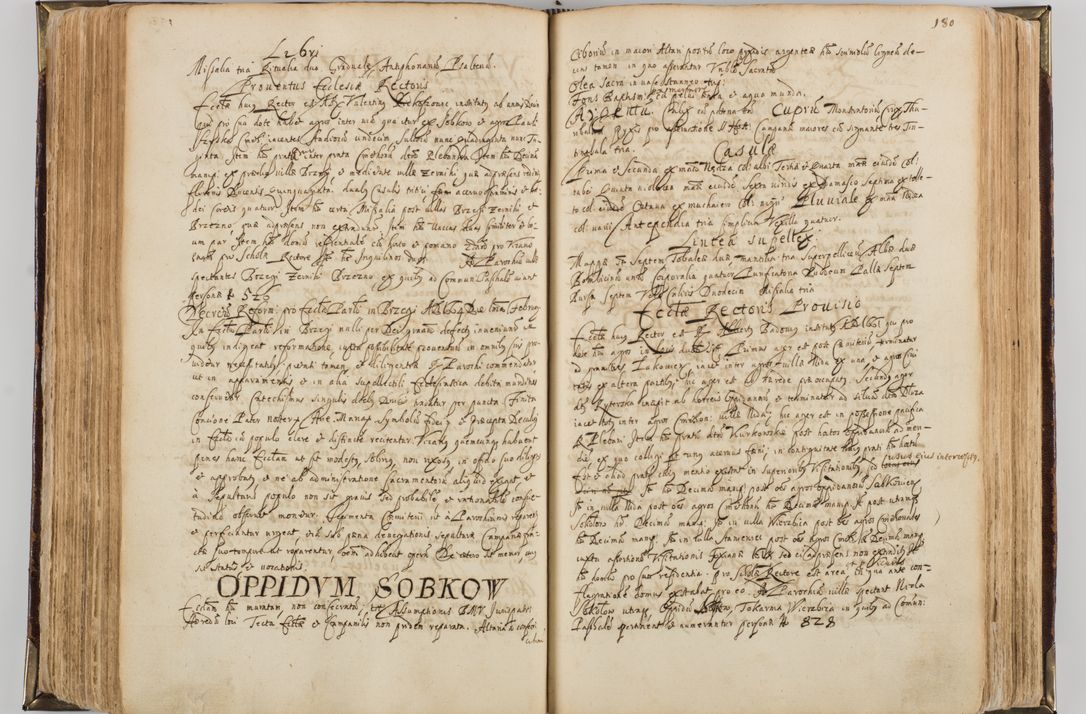 Zdjęcie nr 191 dla obiektu archiwalnego: Visitatio quindecim decanatuum, nempe: Skavinensis, Zathoriensis, Novi Montis, Skalensis, Wrocimoviensis, Adreoviensis, Kijensis, Paczanoviensis, Oswiecimensis, Żywiecensis, Witoviensis, Skoliensis, Opatovecensis, Wielicensis et Plesnensis a Peril. et R.D. Nicolao Oborski, episcopo Laodicensis, suffraganeo, archidiacono, vicario in spiritualibus generali Cracoviensi in annis 1663 - 1665 expedita