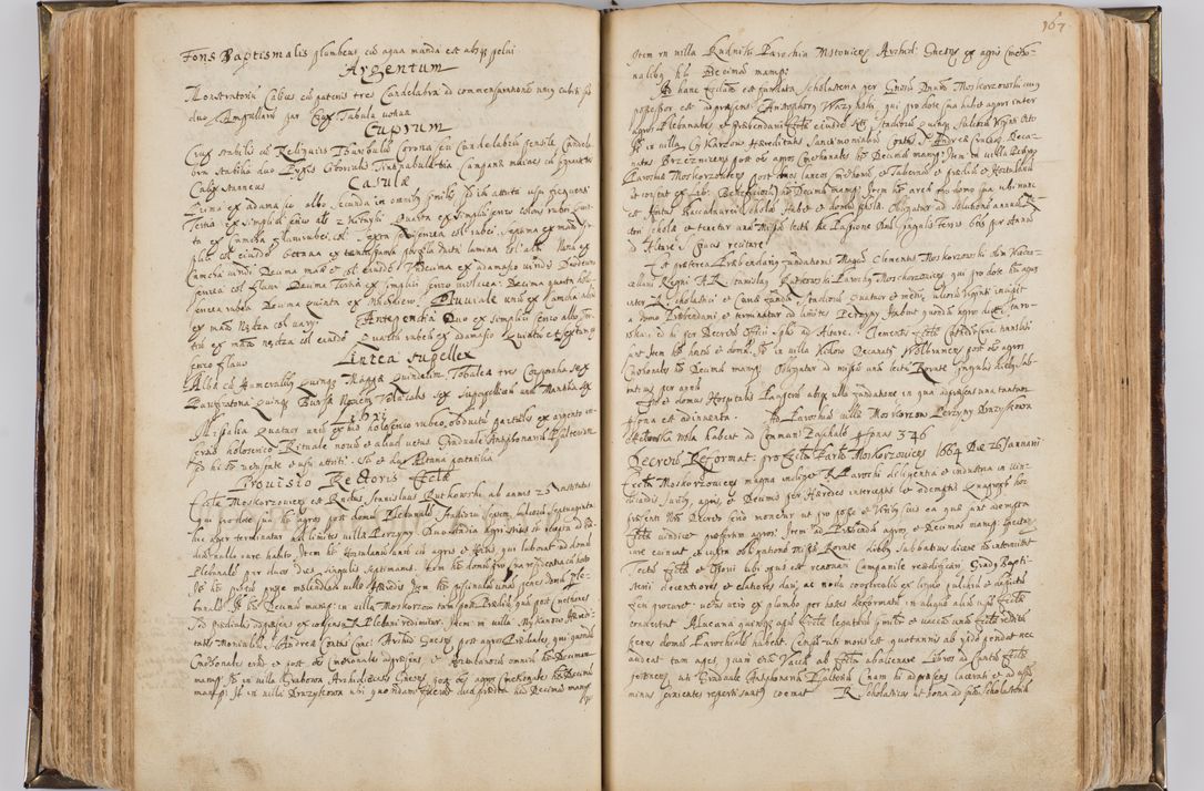 Zdjęcie nr 178 dla obiektu archiwalnego: Visitatio quindecim decanatuum, nempe: Skavinensis, Zathoriensis, Novi Montis, Skalensis, Wrocimoviensis, Adreoviensis, Kijensis, Paczanoviensis, Oswiecimensis, Żywiecensis, Witoviensis, Skoliensis, Opatovecensis, Wielicensis et Plesnensis a Peril. et R.D. Nicolao Oborski, episcopo Laodicensis, suffraganeo, archidiacono, vicario in spiritualibus generali Cracoviensi in annis 1663 - 1665 expedita