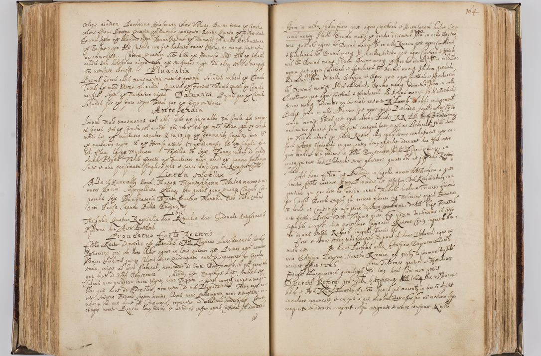 Zdjęcie nr 175 dla obiektu archiwalnego: Visitatio quindecim decanatuum, nempe: Skavinensis, Zathoriensis, Novi Montis, Skalensis, Wrocimoviensis, Adreoviensis, Kijensis, Paczanoviensis, Oswiecimensis, Żywiecensis, Witoviensis, Skoliensis, Opatovecensis, Wielicensis et Plesnensis a Peril. et R.D. Nicolao Oborski, episcopo Laodicensis, suffraganeo, archidiacono, vicario in spiritualibus generali Cracoviensi in annis 1663 - 1665 expedita